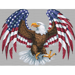 USA-MG 3592